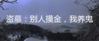 盗墓：别人摸金，我养
