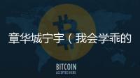 章华城宁宇（我会学乖