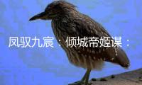 凤驭九宸：倾城帝姬谋