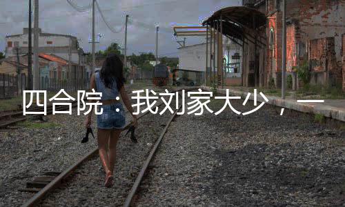 四合院:我刘家大少,一路进部!