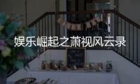 娱乐崛起之萧视风云录