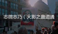 志微志乃（火影之蛊道