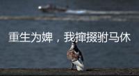 重生为婢，我撺掇驸马